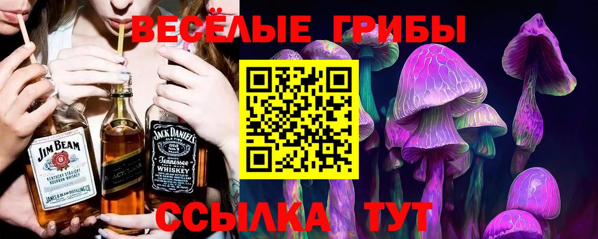 Галлюциногенные грибы GOLDEN TEACHER Новошахтинск