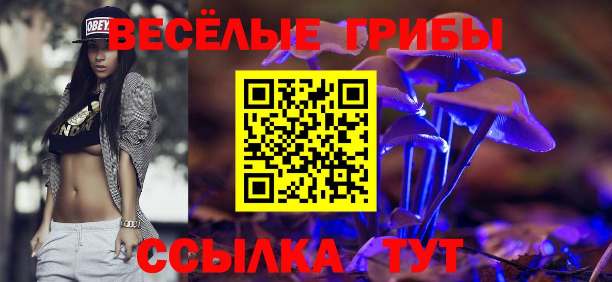 Псилоцибиновые грибы прущие грибы  Вход с VPN  Новошахтинск  Псилоцибиновые грибы Psilocybine cubensis 